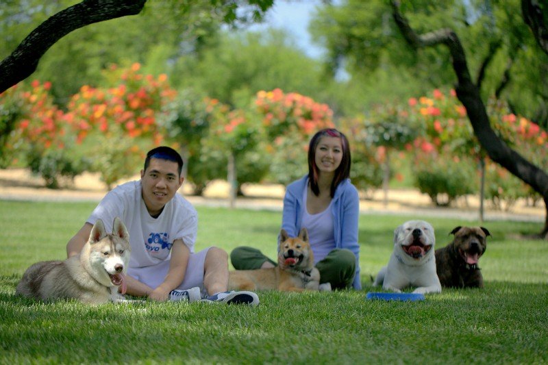 Man and woman with dogs in Sacramento park setting-image.