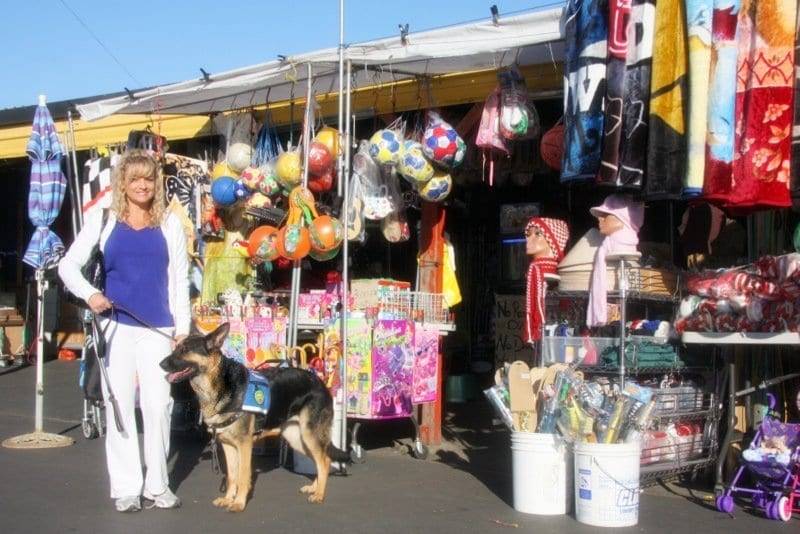 service dog training sacramento