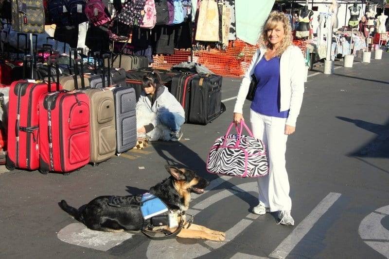 service dog training sacramento