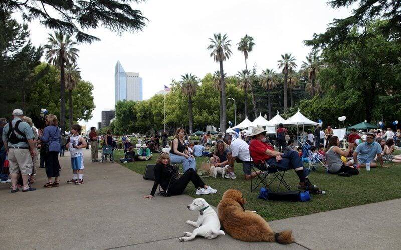 sacramento doggie camp