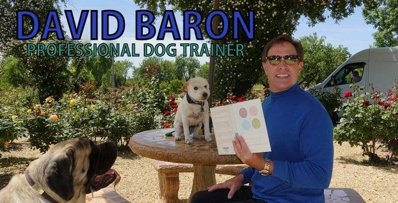 David Baron Dog Training Sacramento | Dog Trainer