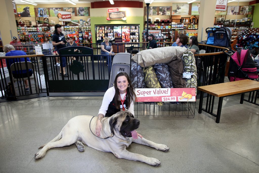 service dogs Colorado