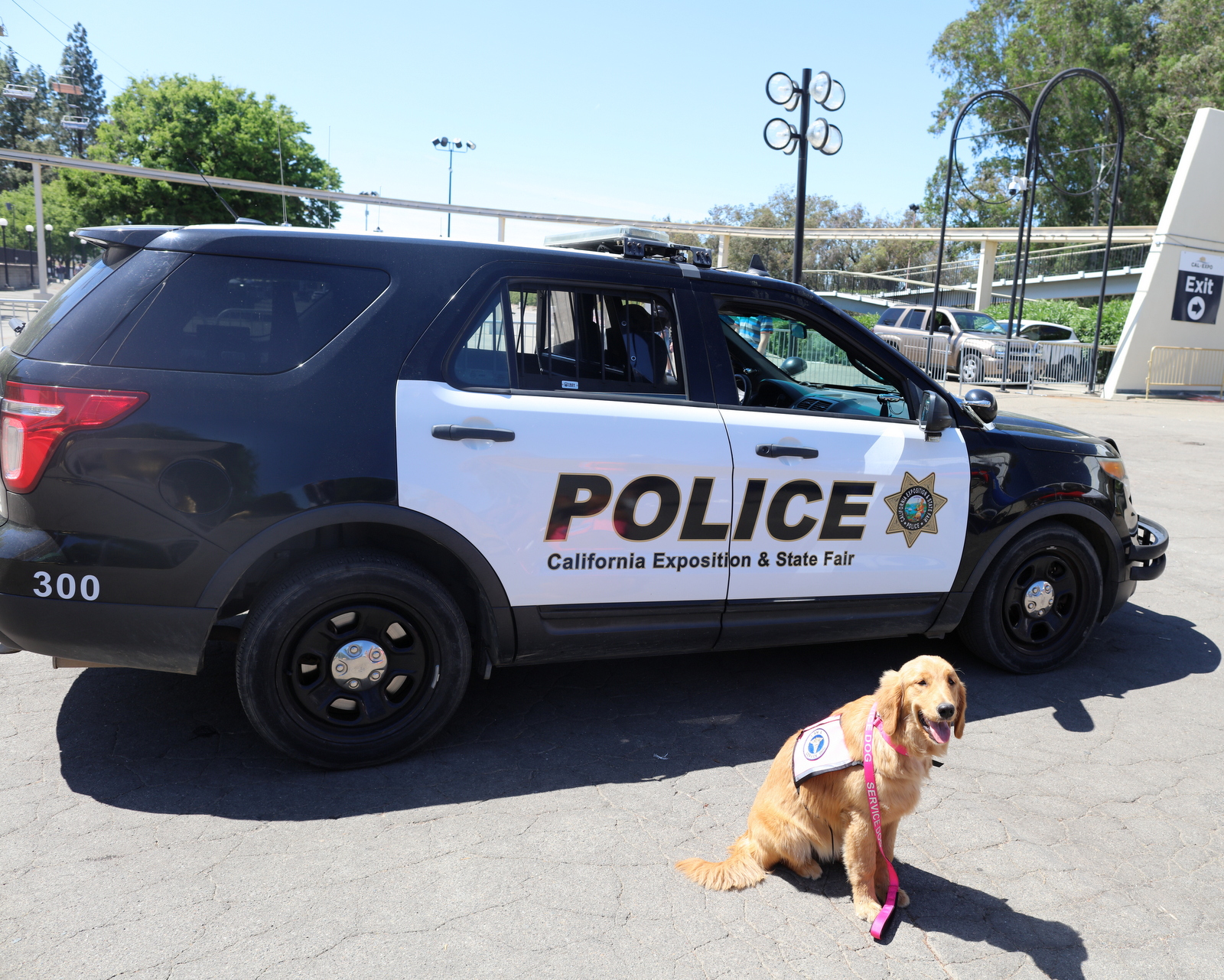Service dog beside police car at state fair.