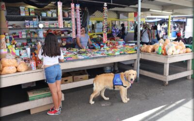 Psychological Service Dog Q & A