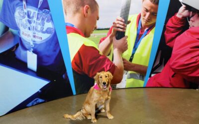 Demystifying Service Dog Public Access Etiquette