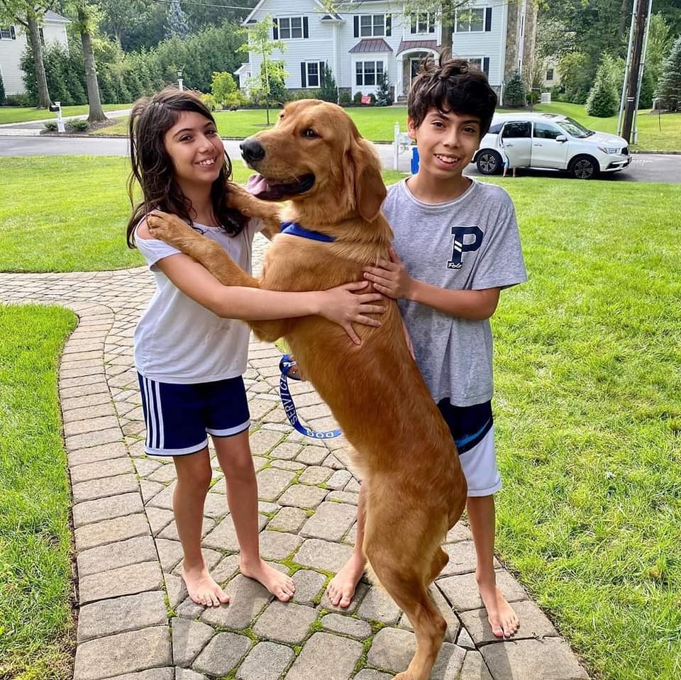 Kids playing with cheerful Golden Retriever outside.