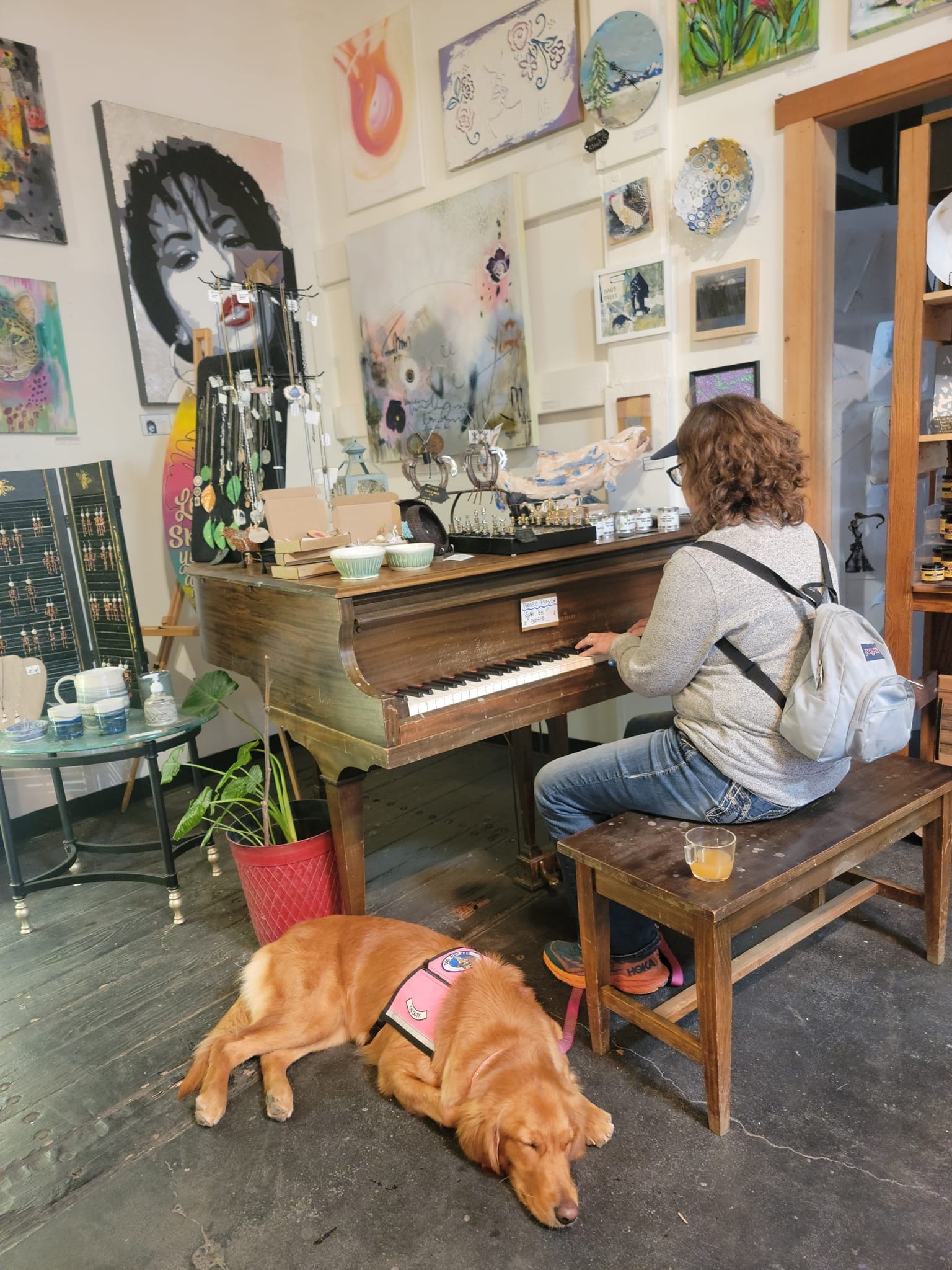 492365918_9592109964183458_86406