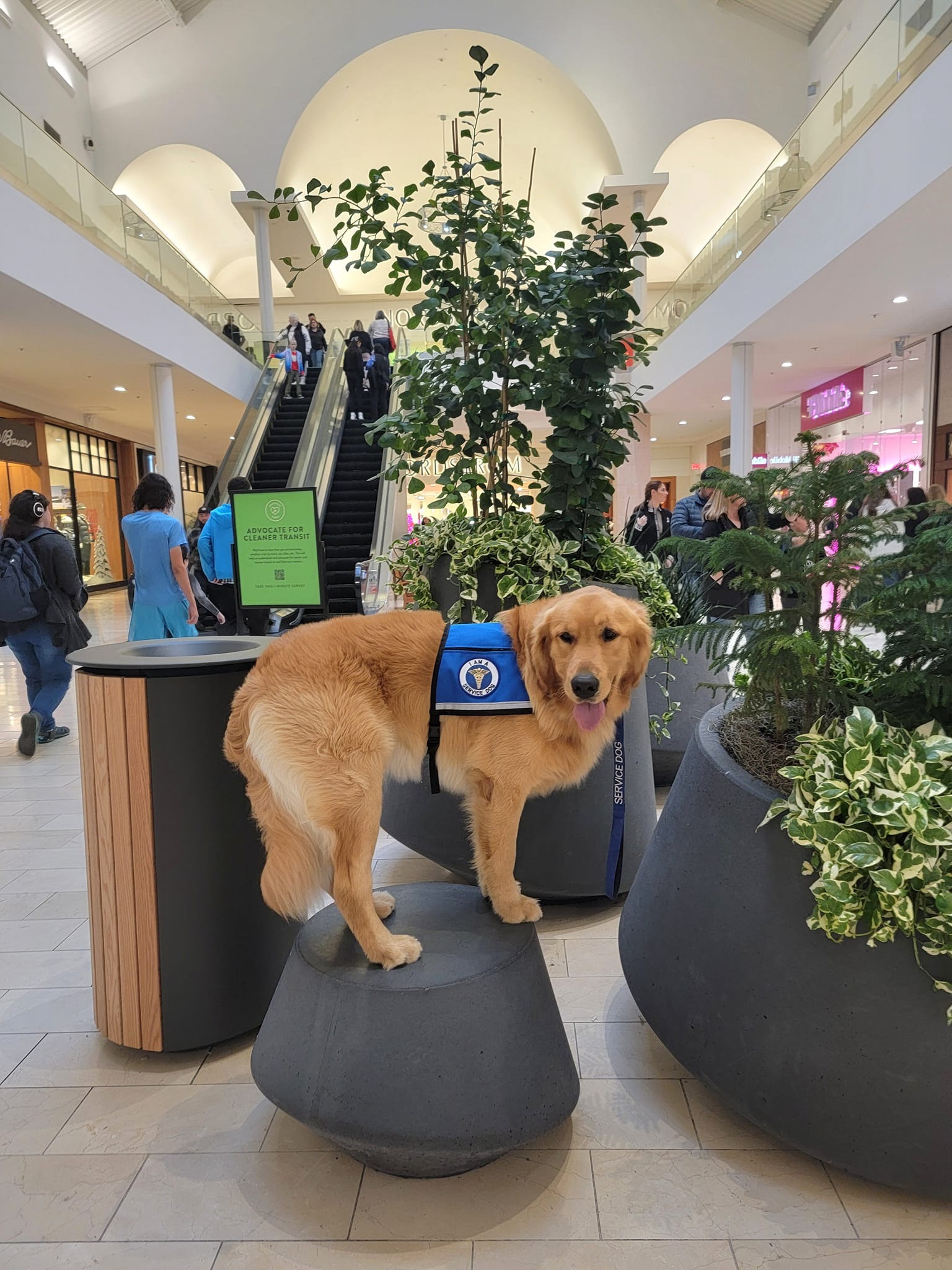 493301092_9603112539749867_74534