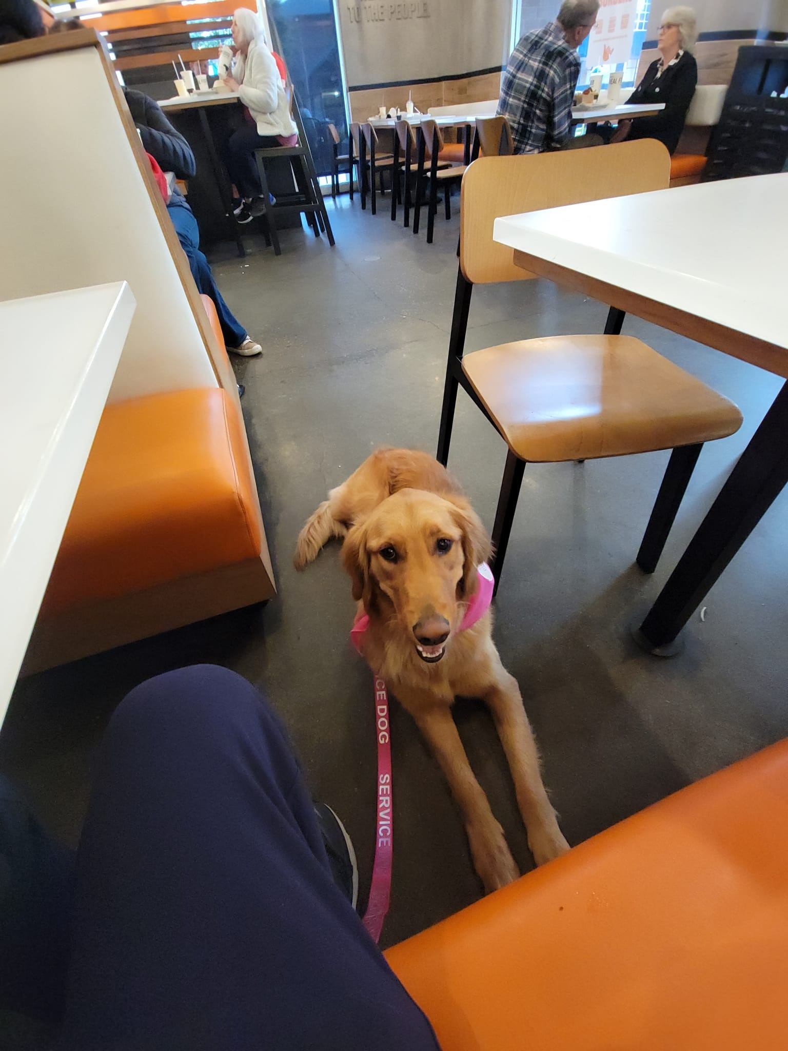 494056798_9621752421219212_17184