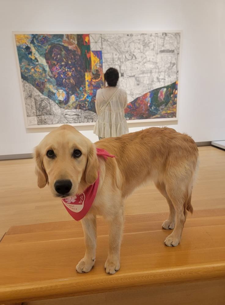 Dog with pink bandana in art gallery