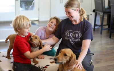 Training A Service Dog: What Are Your Options?